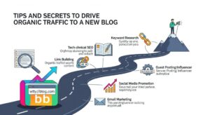 Best Tips and secrets to drive organic traffics to your new blog